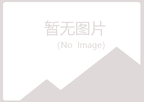 澳门夏岚水泥有限公司